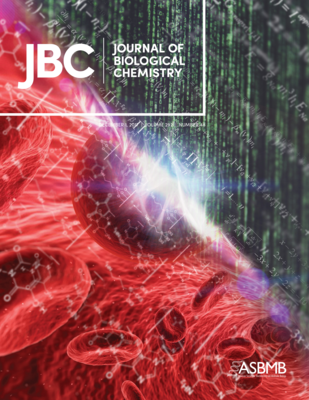 Journal of Biological Chemistry cover Dec 1, 2017; illustrates human red blood cell metabolic network